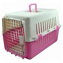 Transportadora Eco Rosa