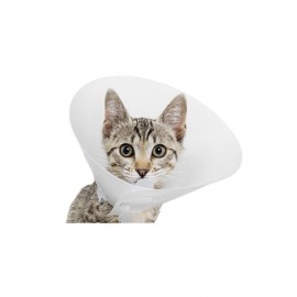 Collar Isabelino Flexible 1
